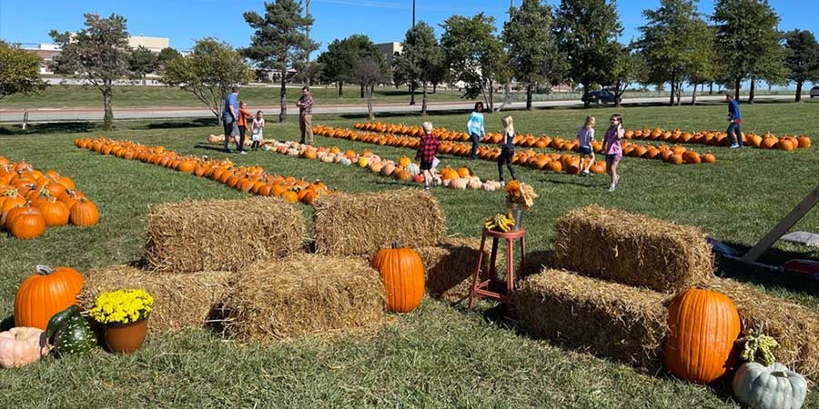 Community Pumpkin Patch in Olathe, KS