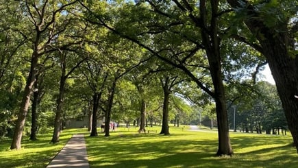 Sabbath Retreat at Tall Oaks